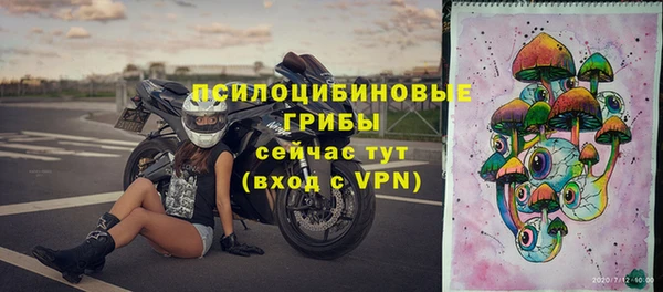 хмурый Алексеевка