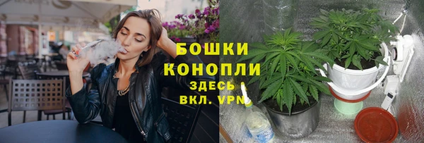трава Алексин